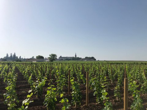 Château la Grâce Dieu