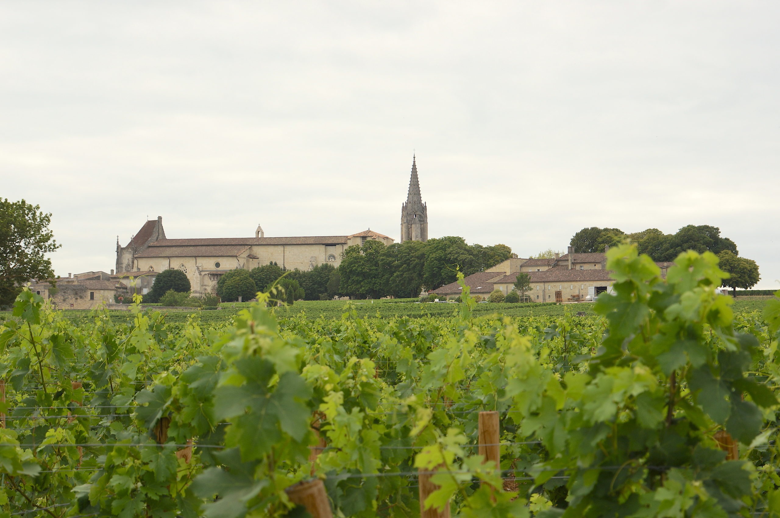 Château la Grâce Dieu